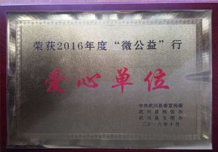 2016年“微公益”行愛(ài)心單位